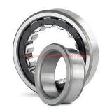 431,8 mm x 635 mm x 88,9 mm  Timken 170RIN664 Rolamentos cilíndricos